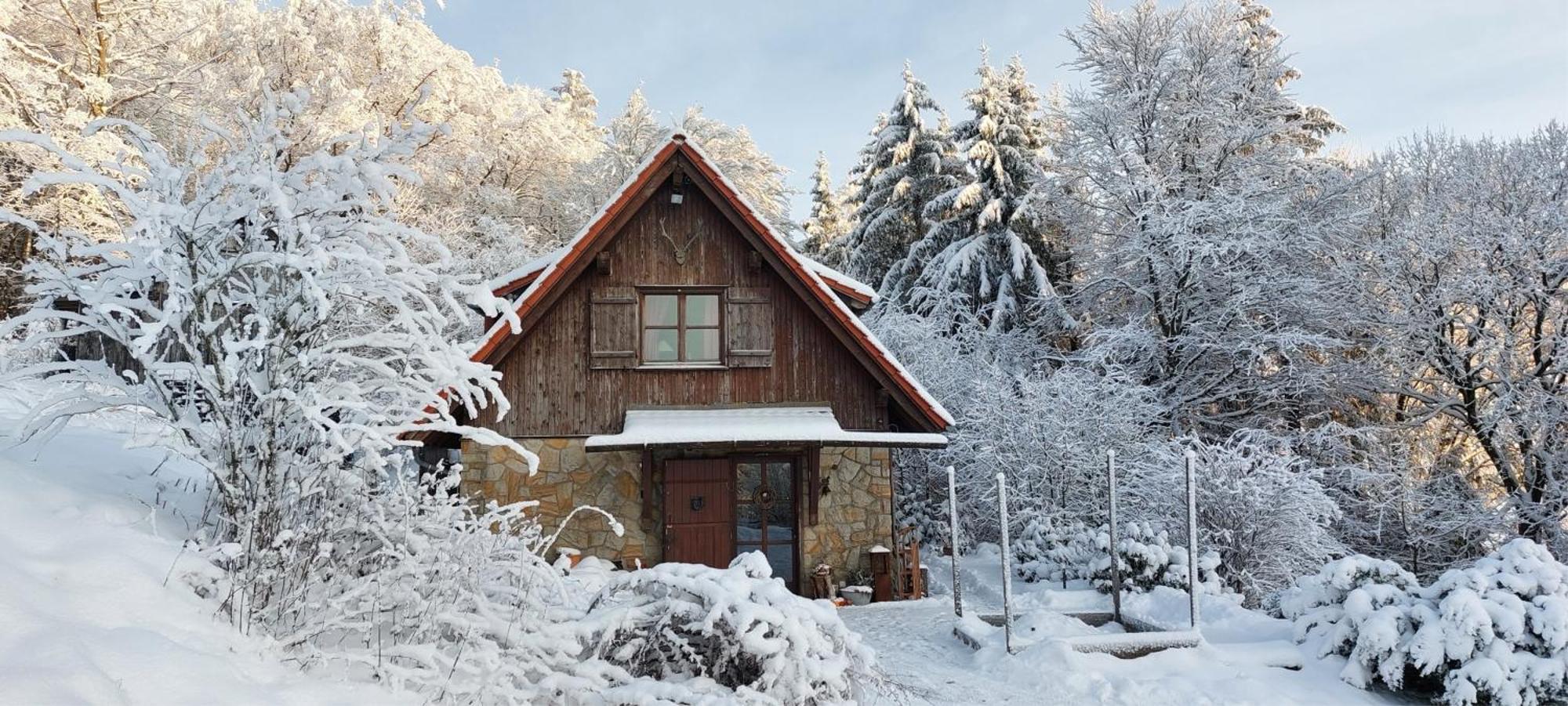 Jagdhaus in der Rhön in völliger Alleinlage Gersfeld Exterior foto