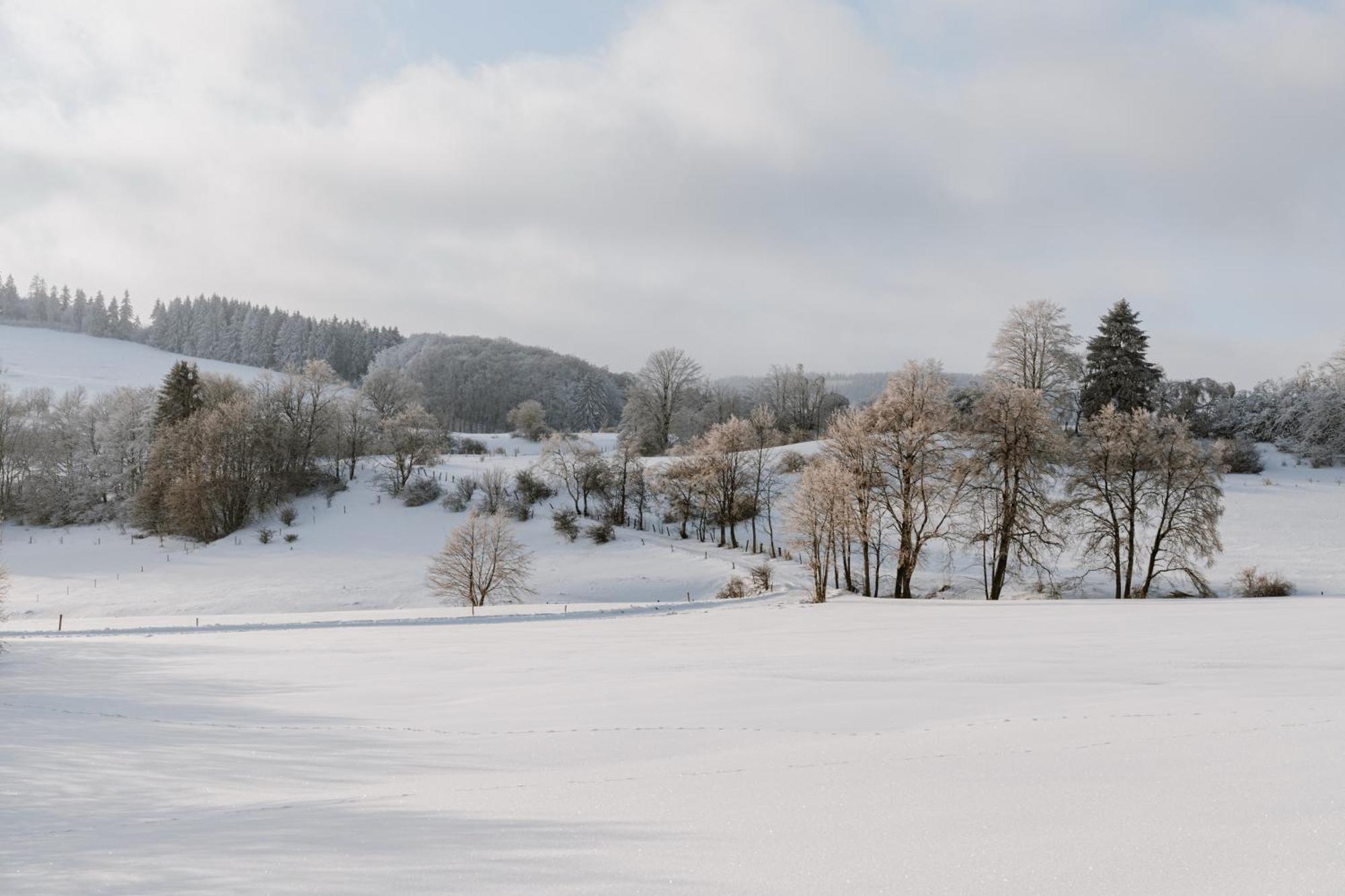 Jagdhaus in der Rhön in völliger Alleinlage Gersfeld Exterior foto